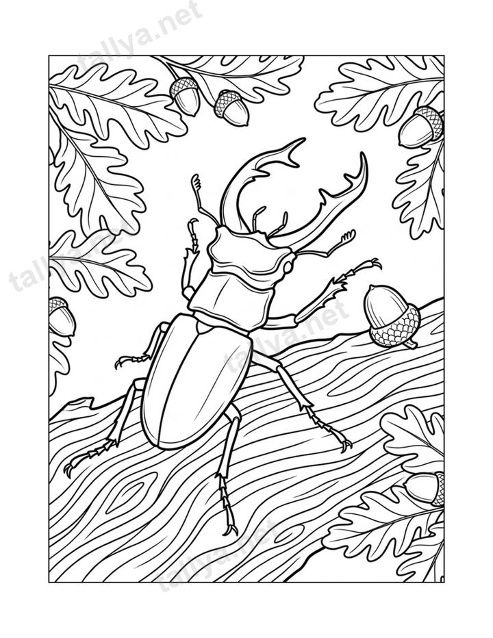 The Stag Beetle's Crown