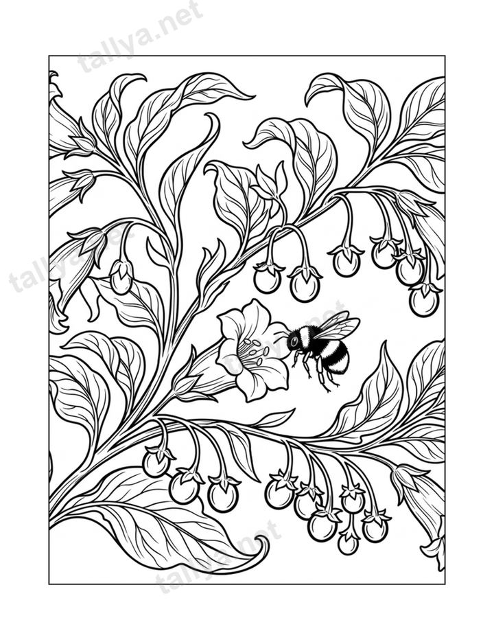 Belladonna & Bee