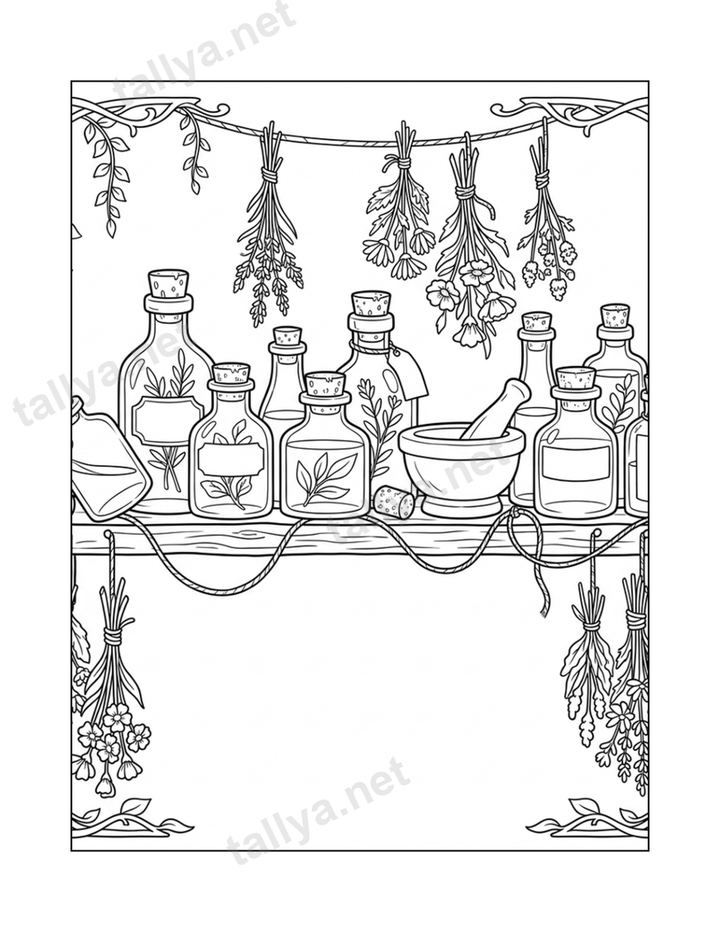 The Apothecary's Shelf