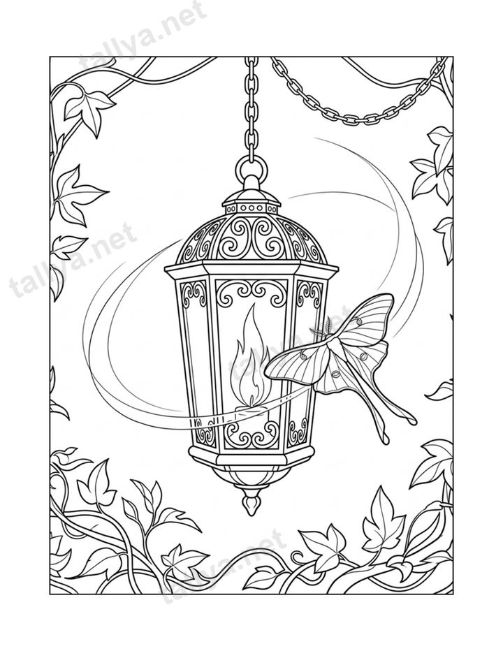 Luna Moth & Lantern