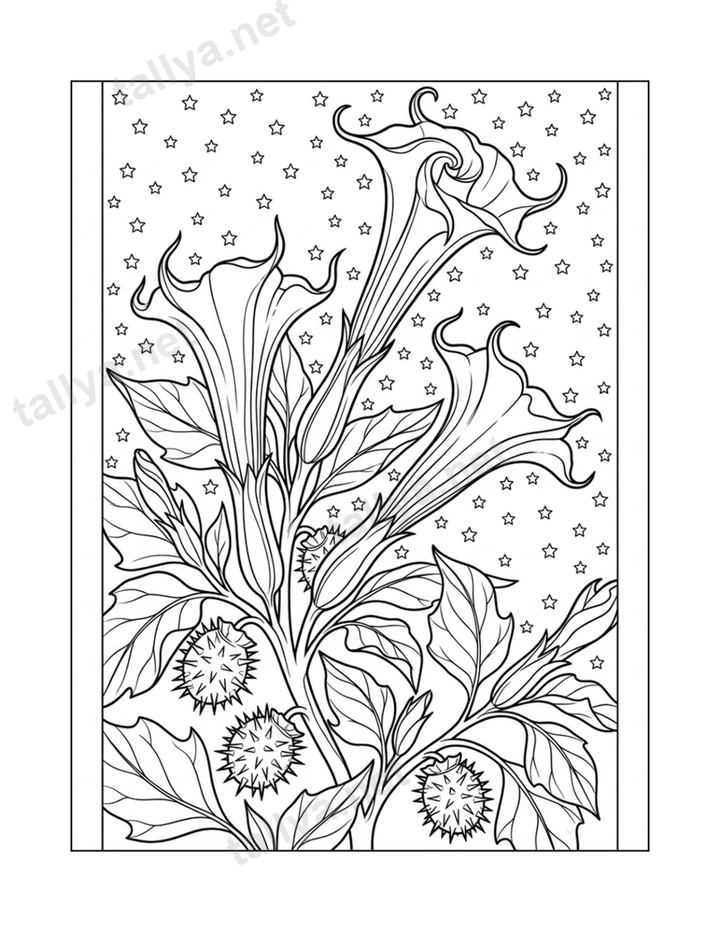 Datura at Midnight