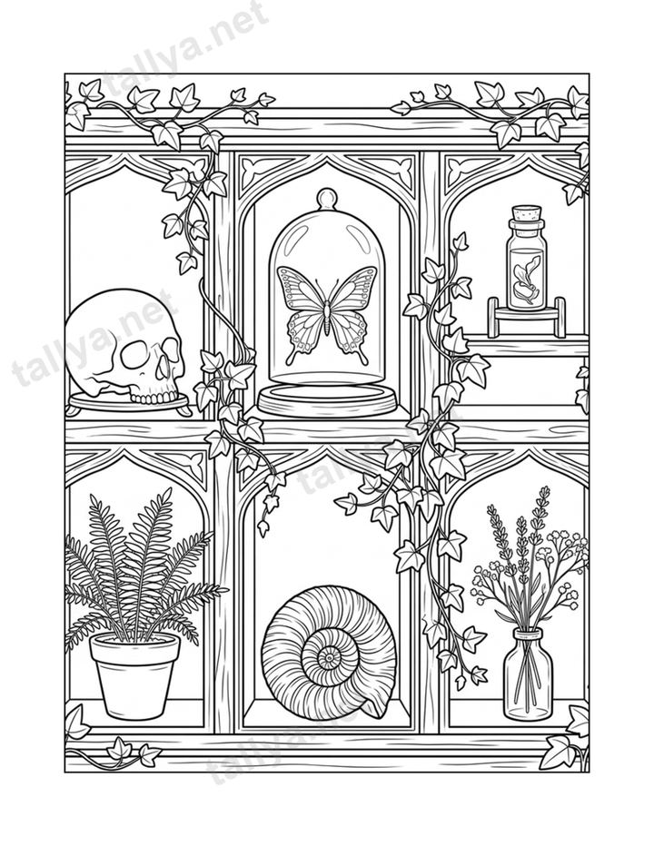 The Cabinet of Curiosities