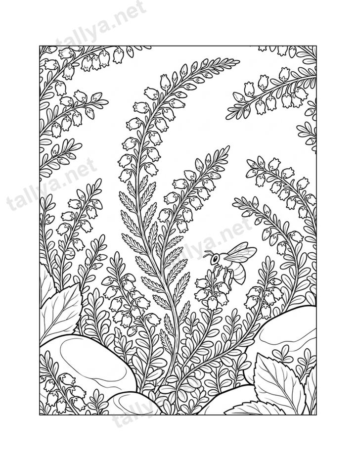 The Quiet Heather
