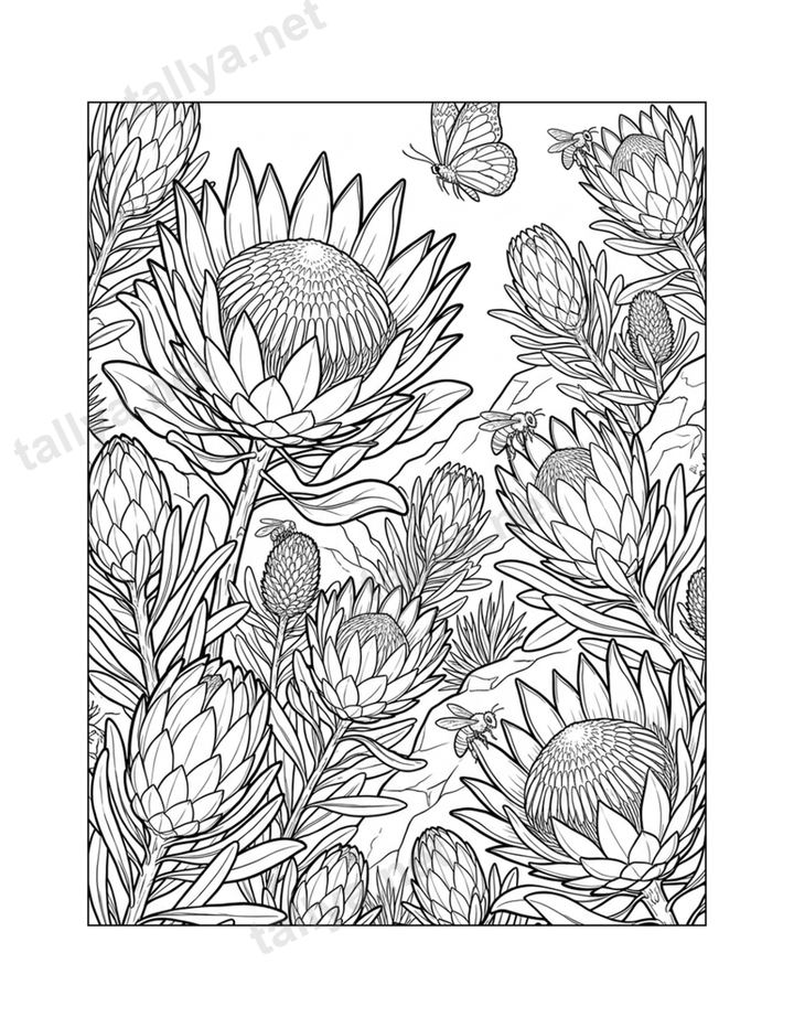 The Shape-Shifting Protea
